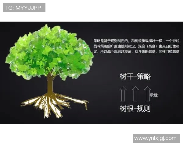 以规则为核心探讨制度建设的有效性与实施策略分析